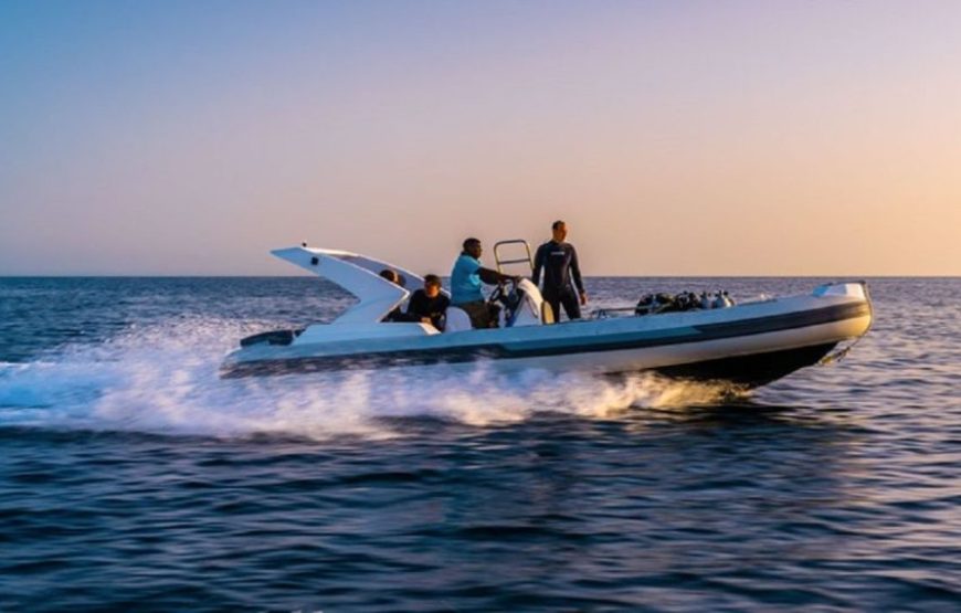 PRIVATE Speed Boat Trip in Hurghada