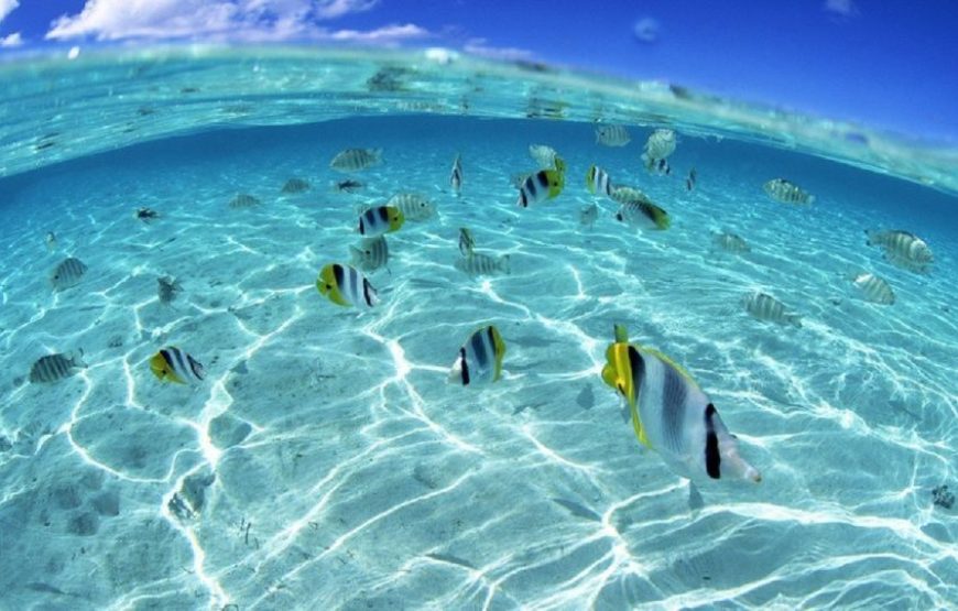 PRIVATE Speed Boat Trip in Hurghada