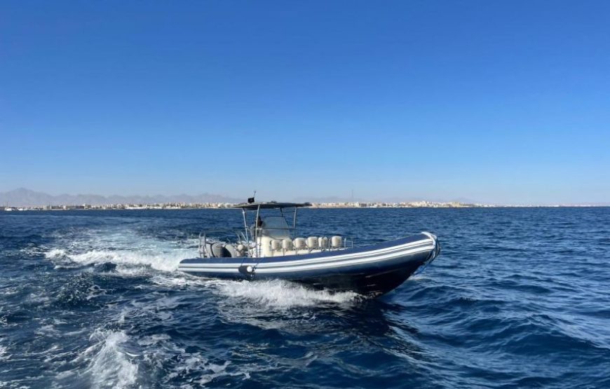 PRIVATE Speed Boat Trip in Hurghada