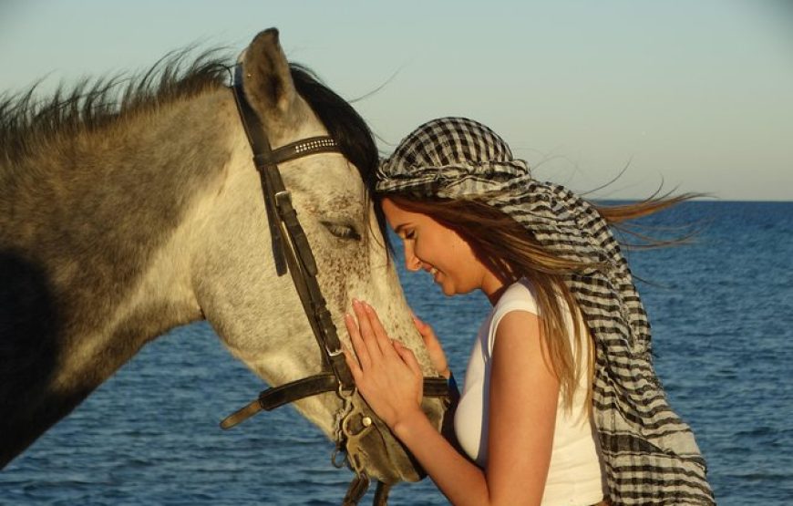 Horse Riding in Hurghada