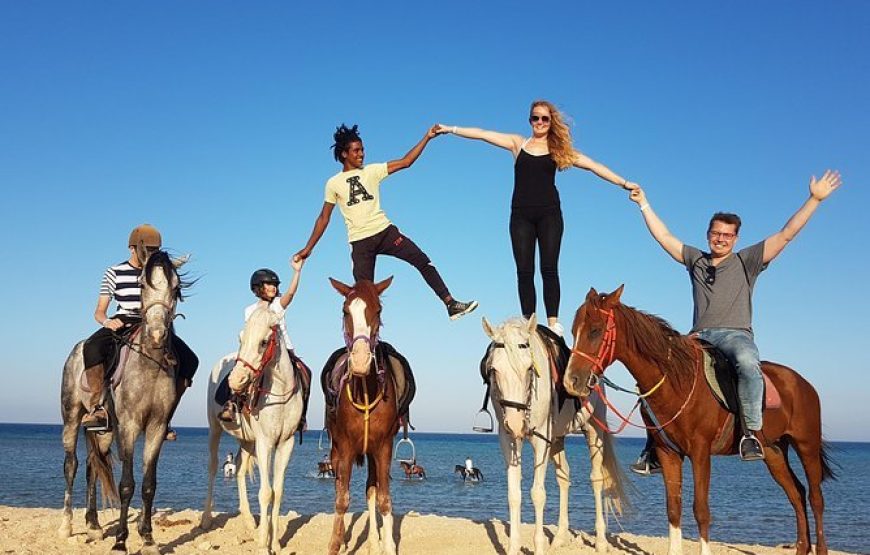 Horse Riding in Hurghada